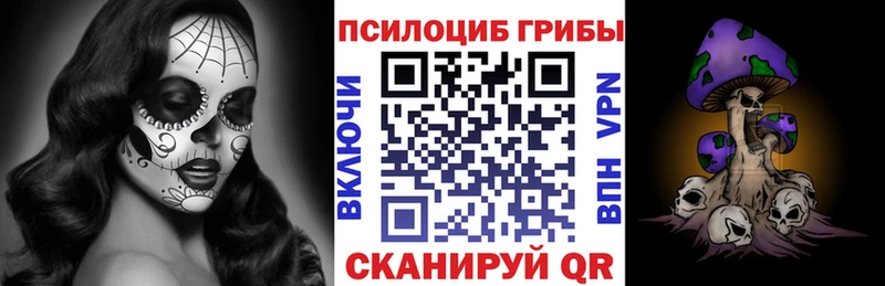 купить наркоту  Фурманов  Псилоцибиновые грибы MAGIC MUSHROOMS 